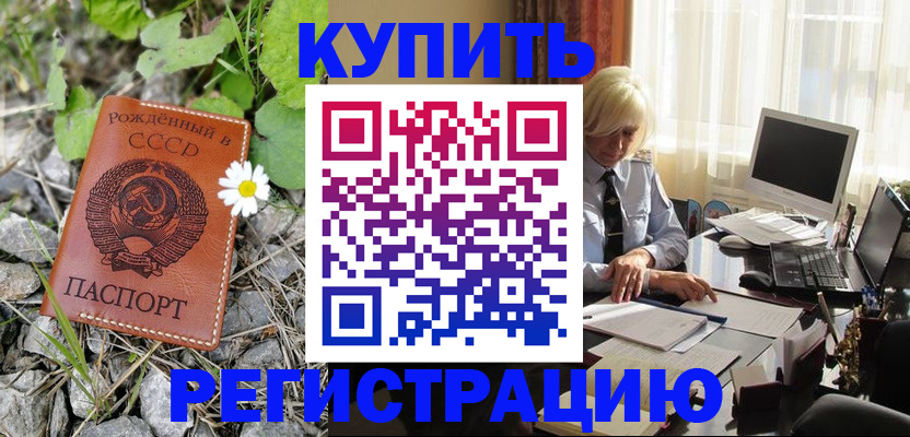 временная регистрация поиск в Ленинградской области